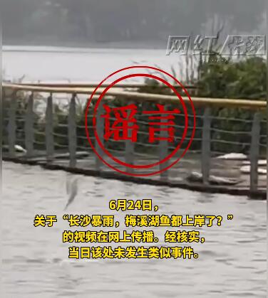 QQ截图20240625101434.jpg